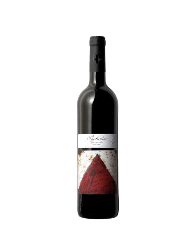 San Valero- Garnacha Particular Old Vine
