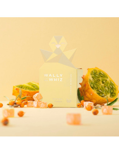 Wally & Whiz Pulcino con Caramelle al Kiwano e Olivello Spinoso